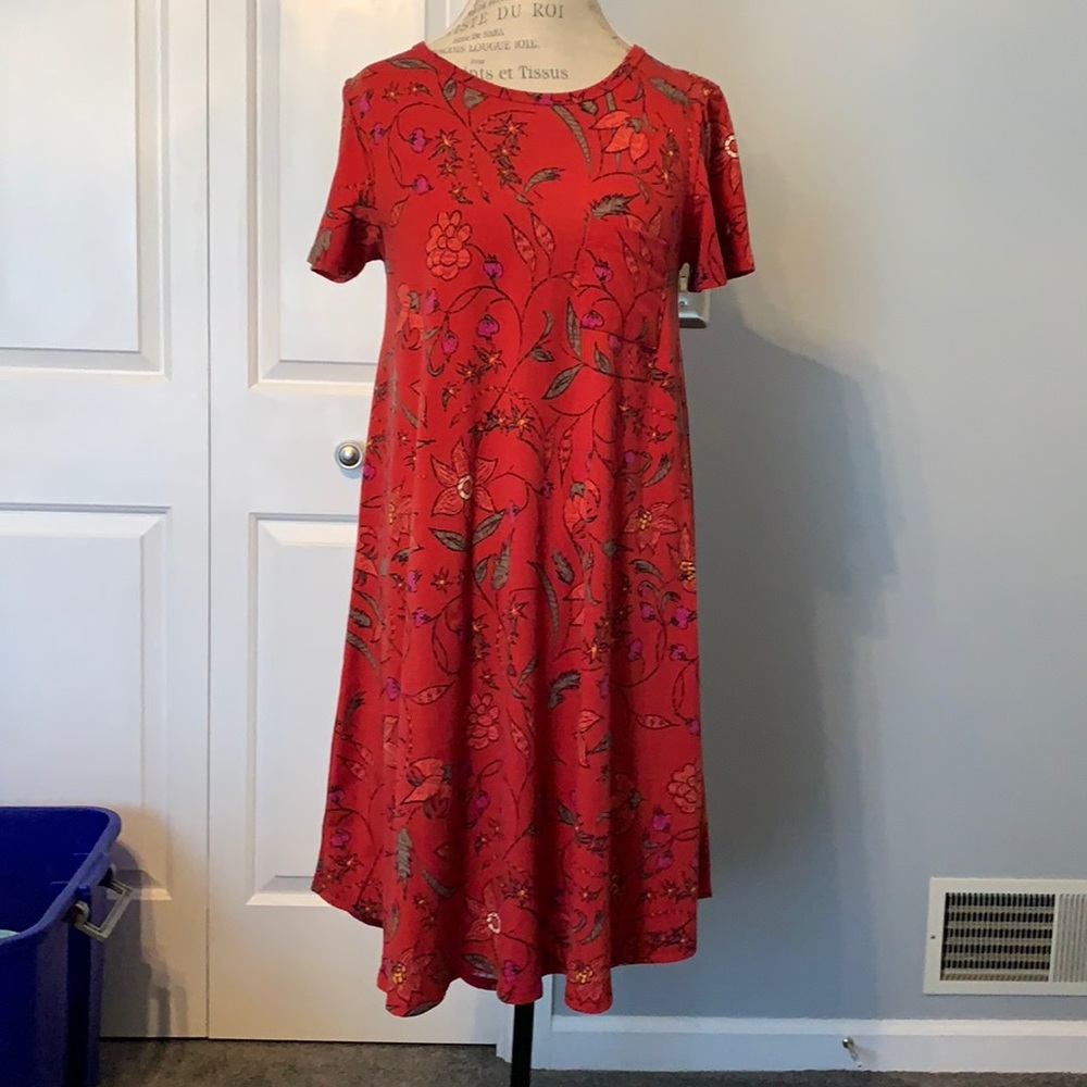 LulaRoe Carley Hi-lo dress.